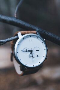 خرید ساعت با بودجه کم ساعت آویزون رو شاخه درخت صفحه سفید بند چرم 